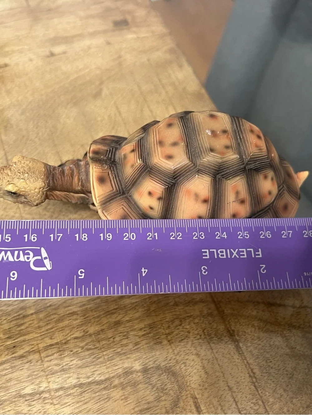 N/A realistic tortoise
